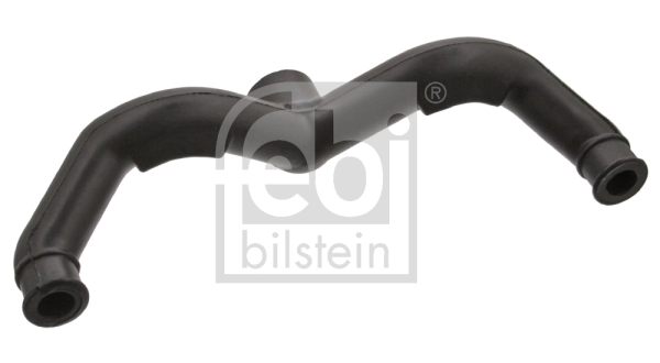 Hose, crankcase ventilation